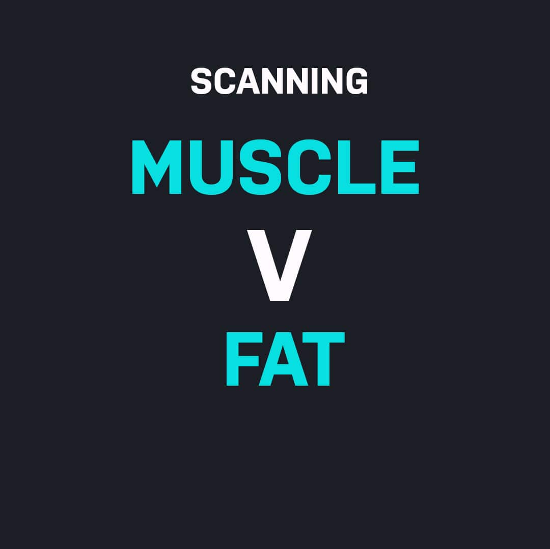 Fat v Muscle