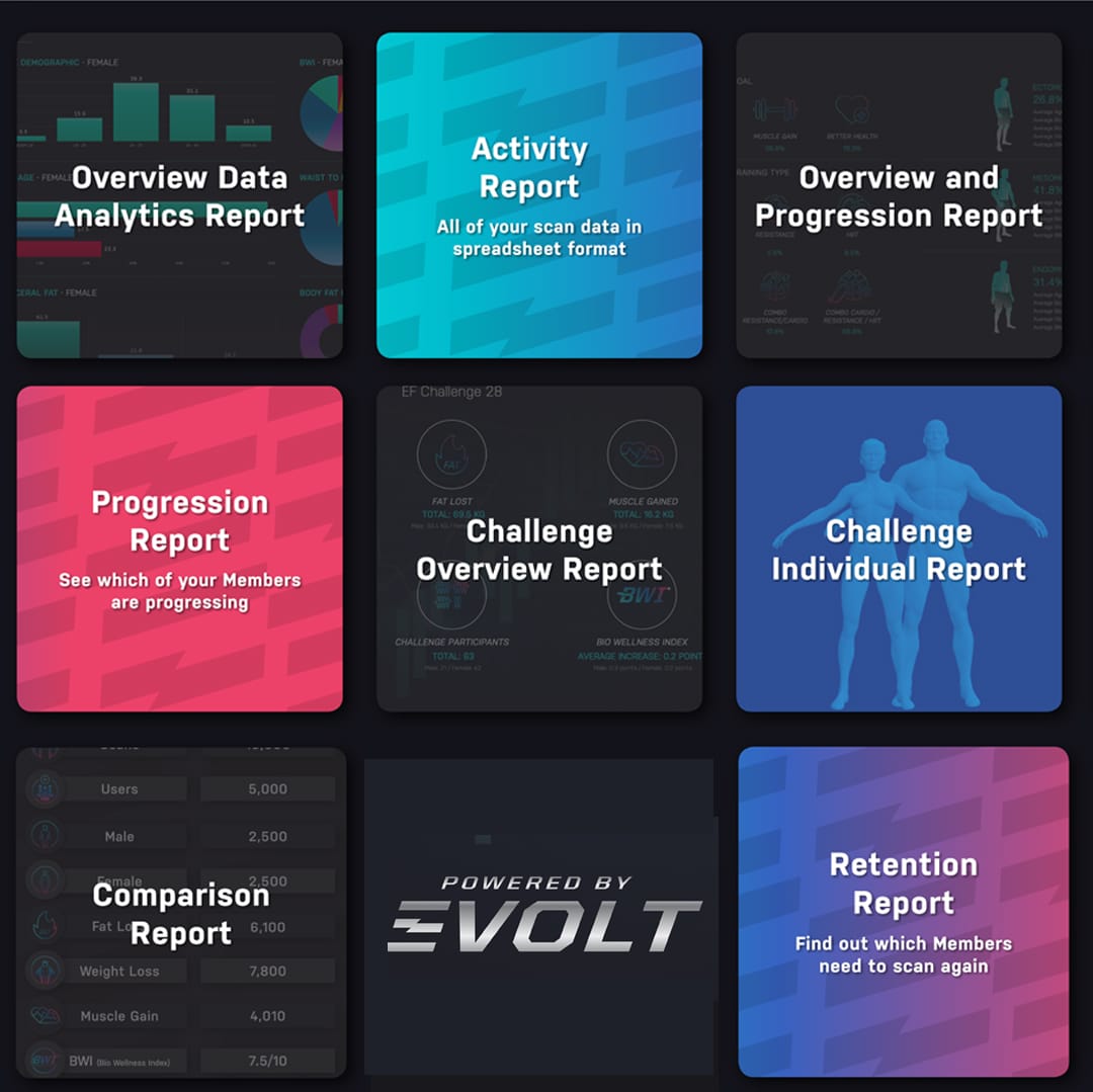 Evolt Insights Dashboard
