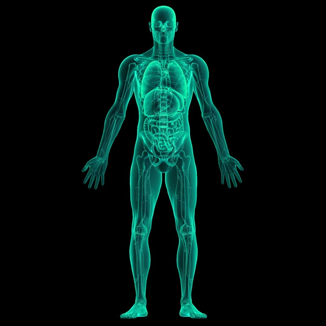 Knowing your body composition is key to understanding your health